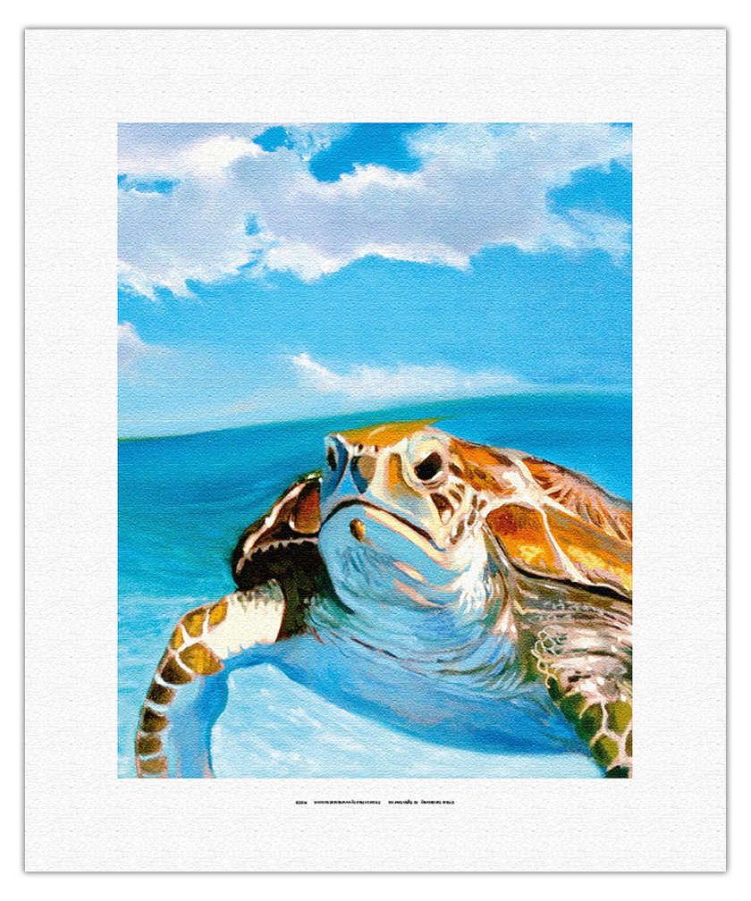 Honu, Hawaiian Sea Turtle by Wade Koniakowsky - Picture 8 of 25