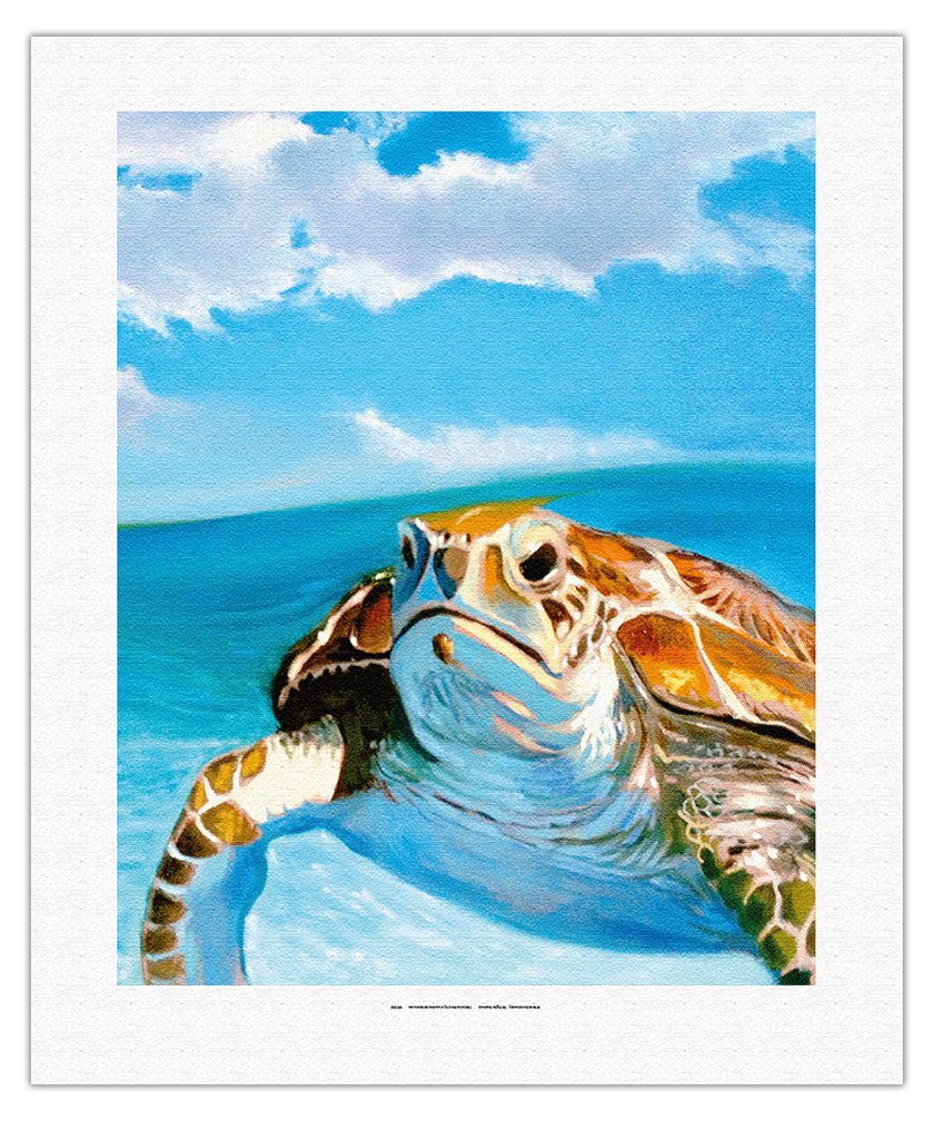 Honu, Hawaiian Sea Turtle by Wade Koniakowsky - Picture 9 of 25
