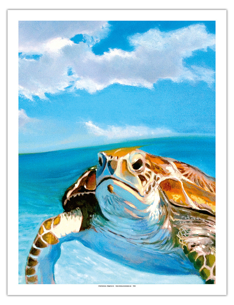 Honu, Hawaiian Sea Turtle by Wade Koniakowsky - Picture 4 of 25