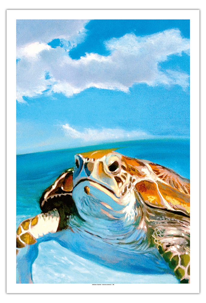 Honu, Hawaiian Sea Turtle by Wade Koniakowsky - Picture 5 of 25