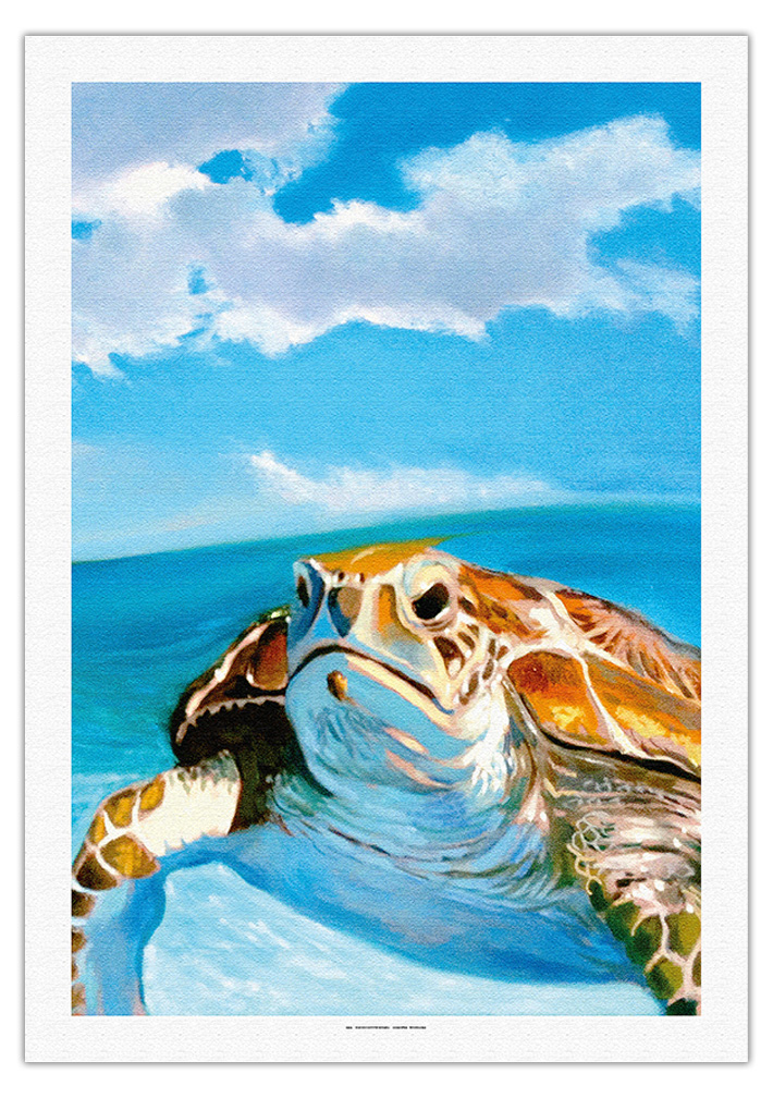 Honu, Hawaiian Sea Turtle by Wade Koniakowsky - Picture 11 of 25
