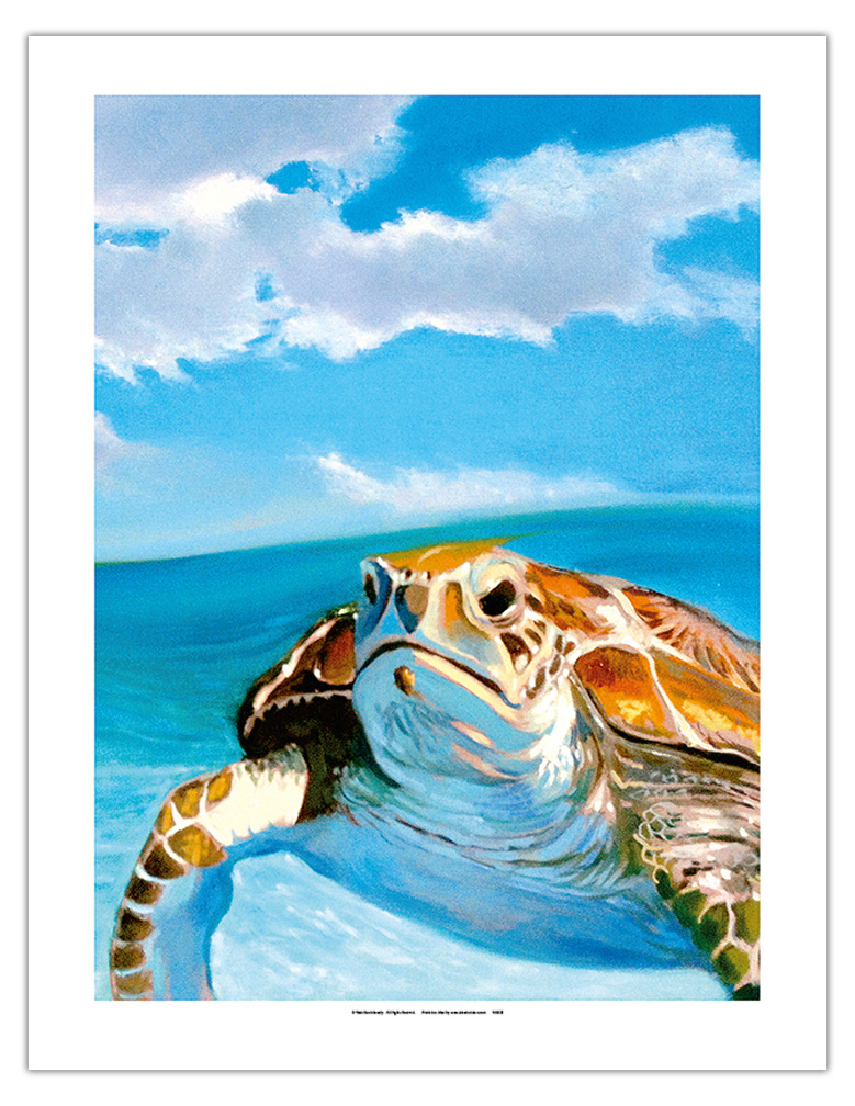 Honu, Hawaiian Sea Turtle by Wade Koniakowsky - Picture 13 of 25