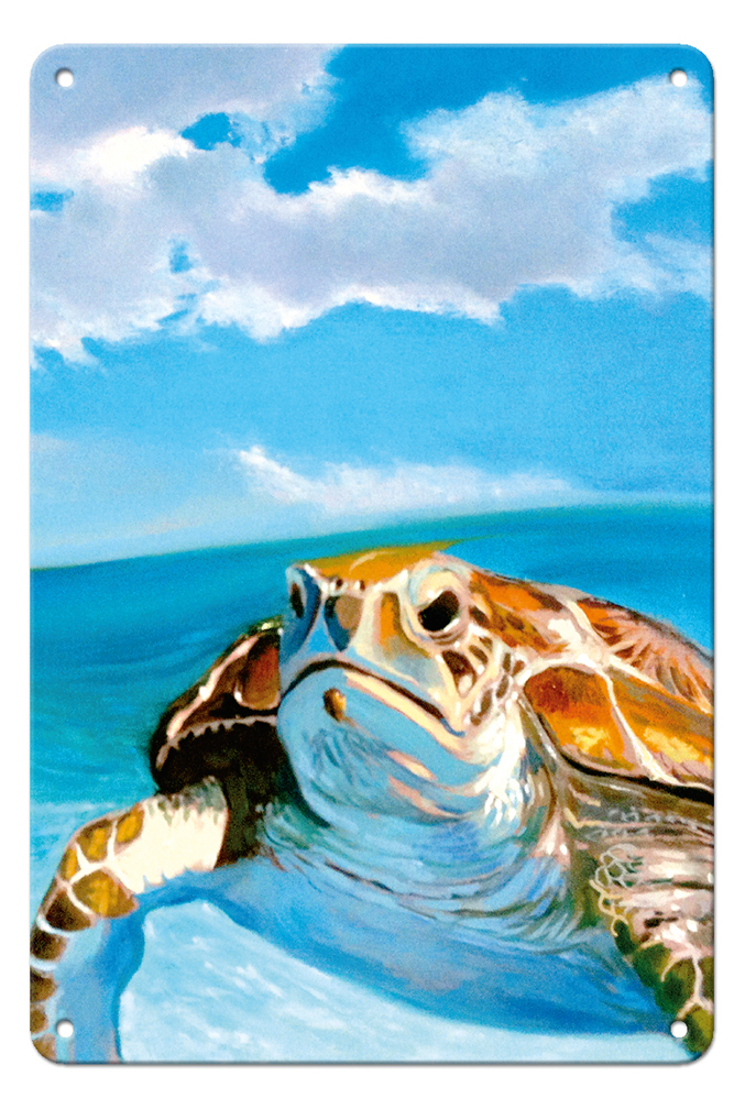 Honu, Hawaiian Sea Turtle by Wade Koniakowsky - Picture 24 of 25