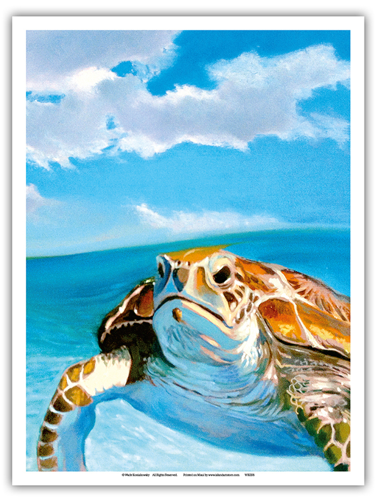 Honu, Hawaiian Sea Turtle by Wade Koniakowsky - Picture 16 of 25