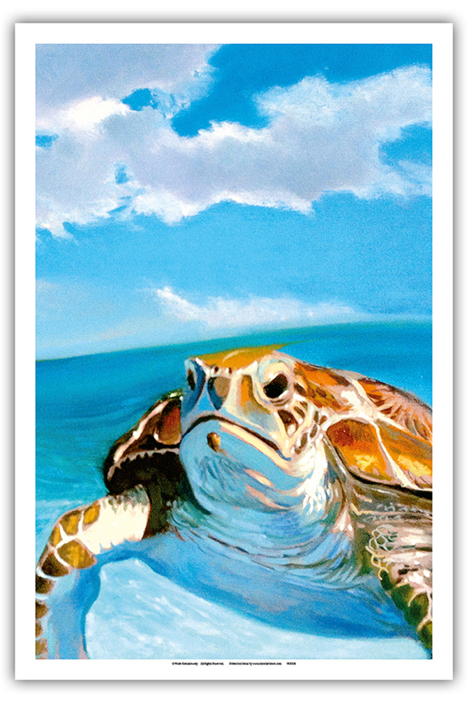 Honu, Hawaiian Sea Turtle by Wade Koniakowsky - Picture 17 of 25