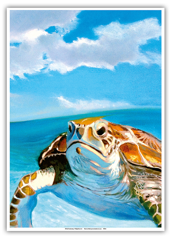 Honu, Hawaiian Sea Turtle by Wade Koniakowsky - Picture 19 of 25