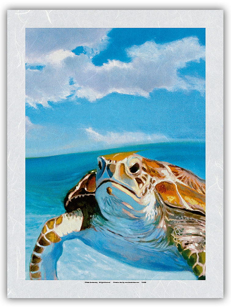 Honu, Hawaiian Sea Turtle by Wade Koniakowsky - Picture 20 of 25