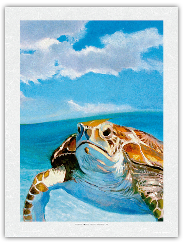 Honu, Hawaiian Sea Turtle by Wade Koniakowsky - Picture 22 of 25