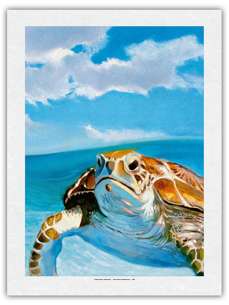 Honu, Hawaiian Sea Turtle by Wade Koniakowsky - Picture 23 of 25