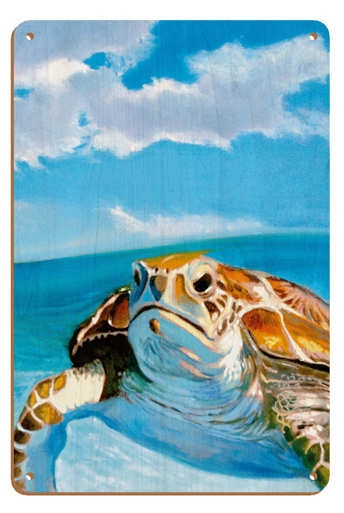 Honu, Hawaiian Sea Turtle by Wade Koniakowsky - Picture 25 of 25